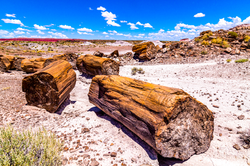 Angel Garden, Painted Desert
