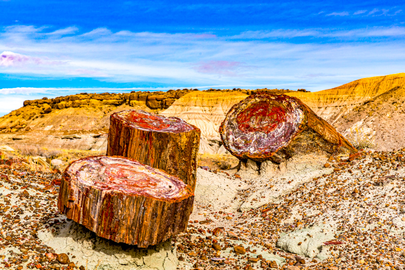 Giant Logs Trail