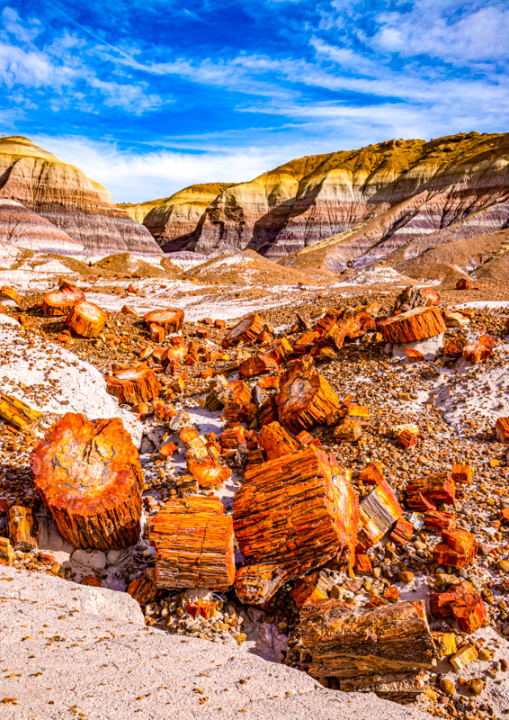 Blue Mesa Trail