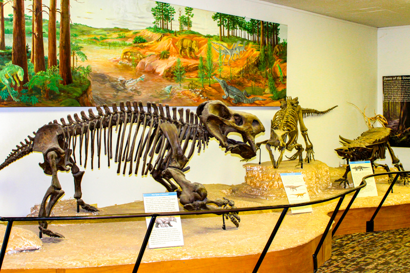 Rainbow Forest Museum