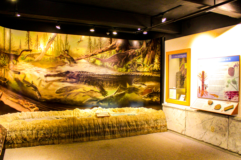 Rainbow Forest Museum