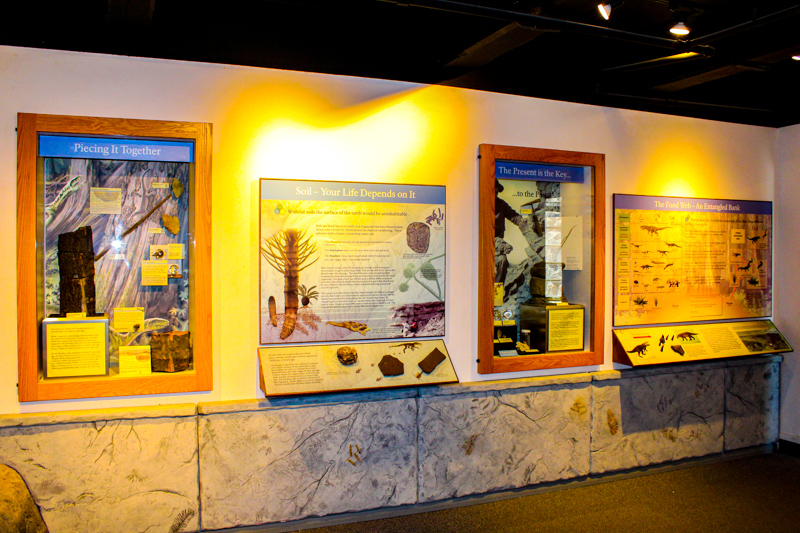 Rainbow Forest Museum