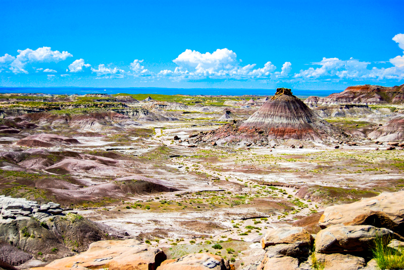 Petrified Forest NP
