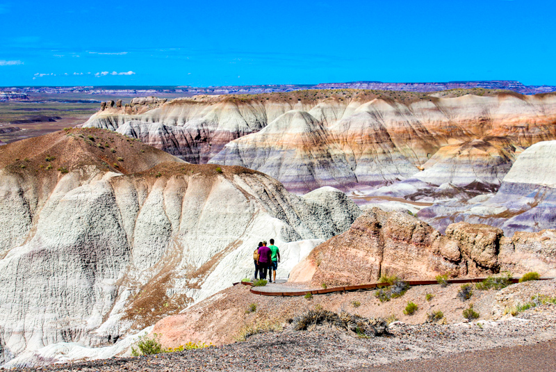 Blue Mesa Trail