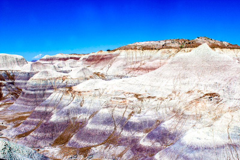 Blue Mesa Trail
