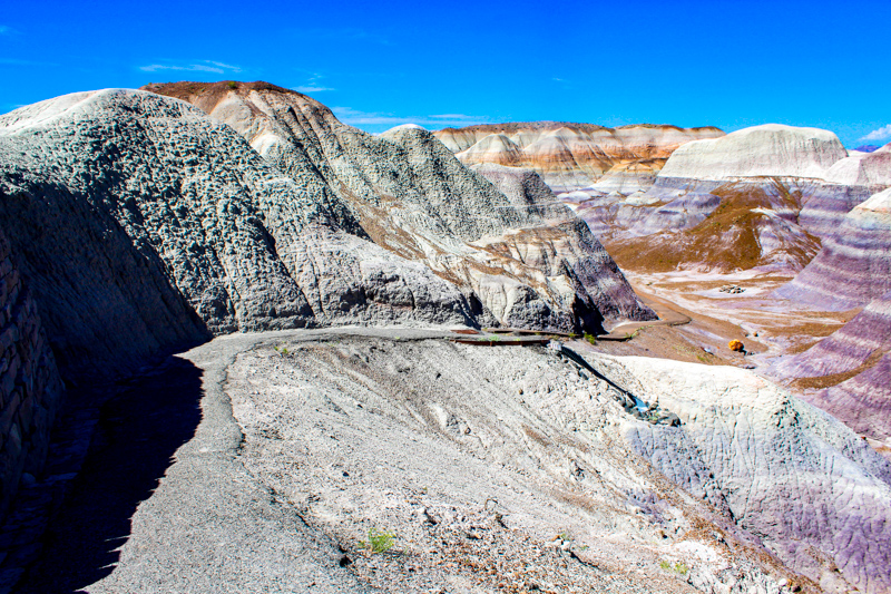 Blue Mesa Trail