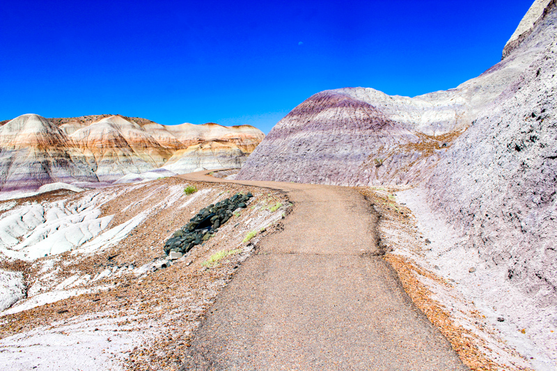 Blue Mesa Trail