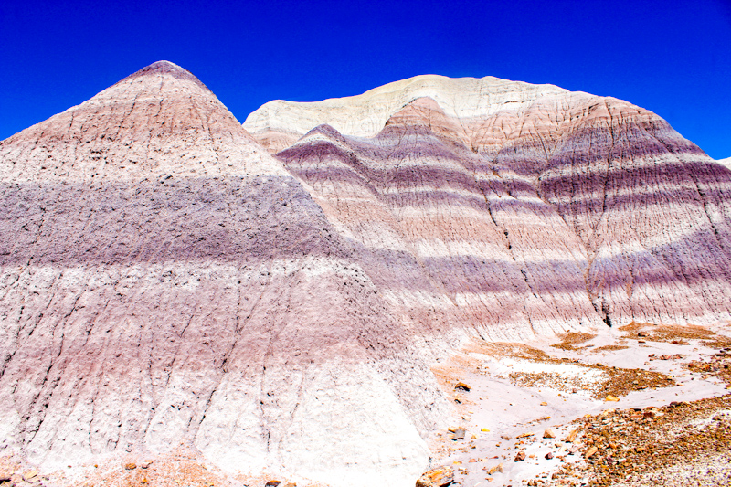 Blue Mesa Trail