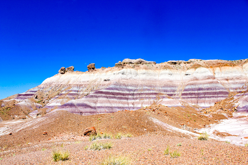 Blue Mesa Trail