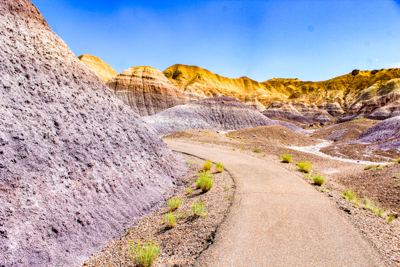 Blue Mesa Trail