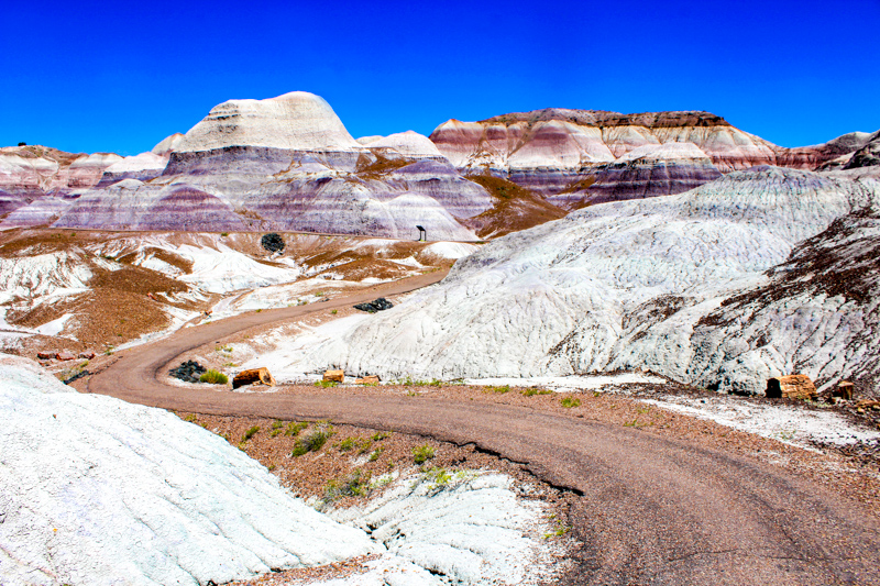 Blue Mesa Trail