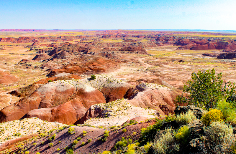 Painted Desert Rim Trail