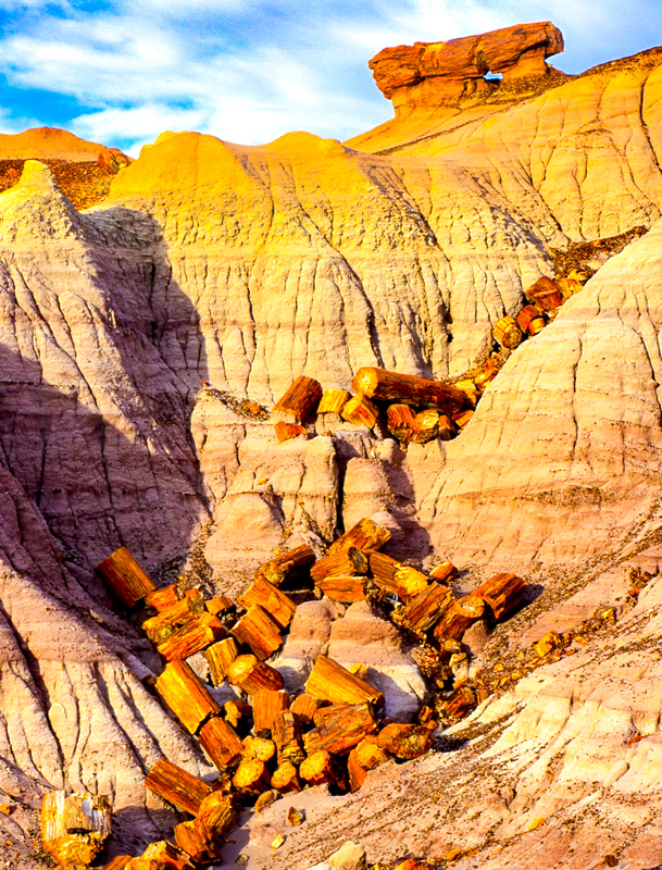 Blue Mesa Trail