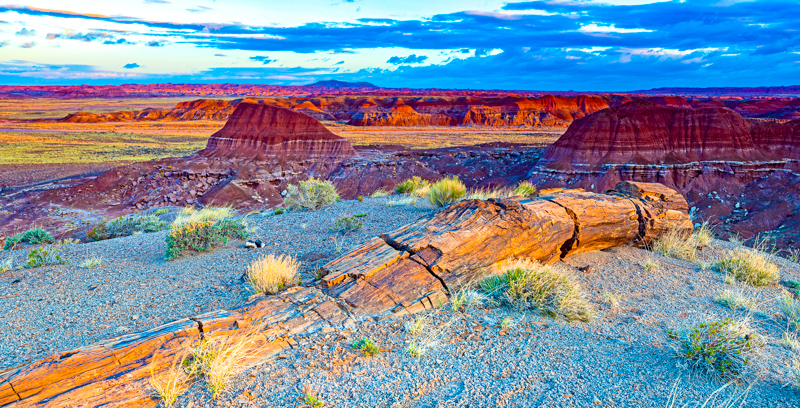 Petrified Forest NP