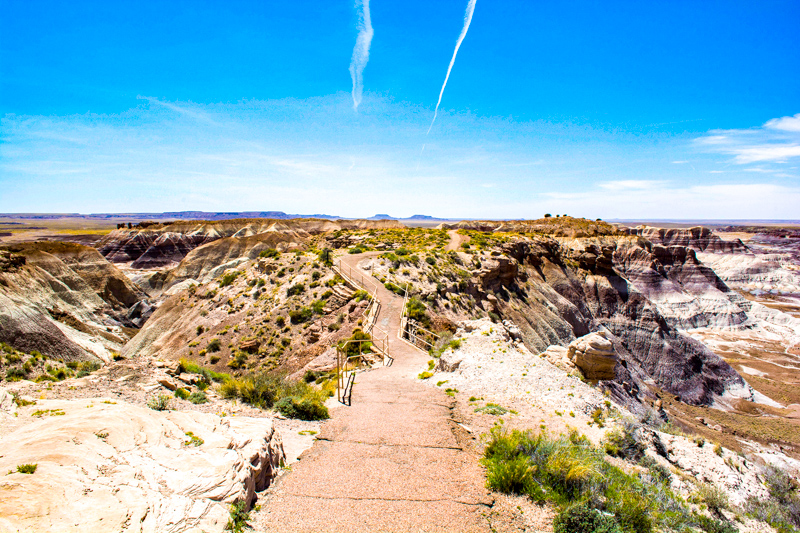 Blue Mesa Trail