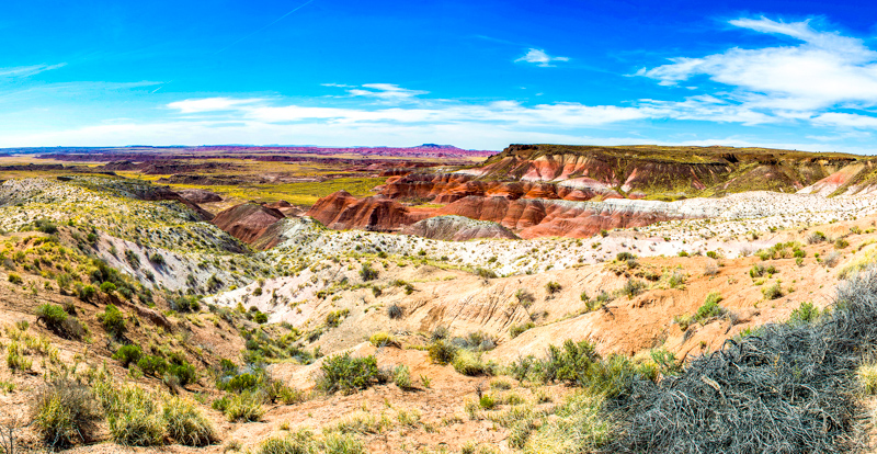 Whipple Point