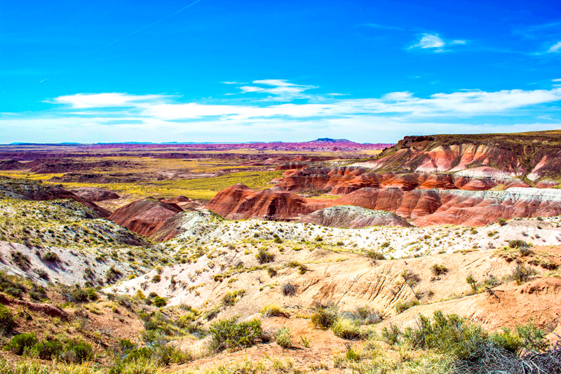 Whipple Point