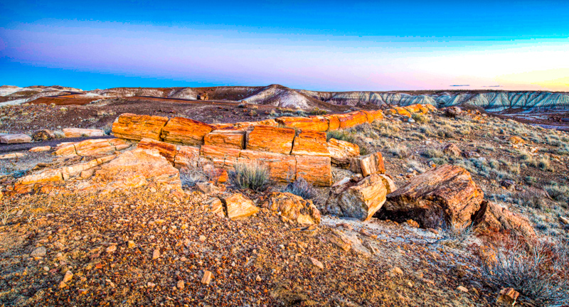 Long Logs Trail