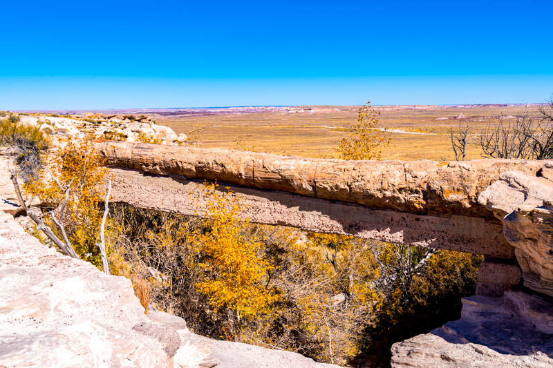 Agate Bridge