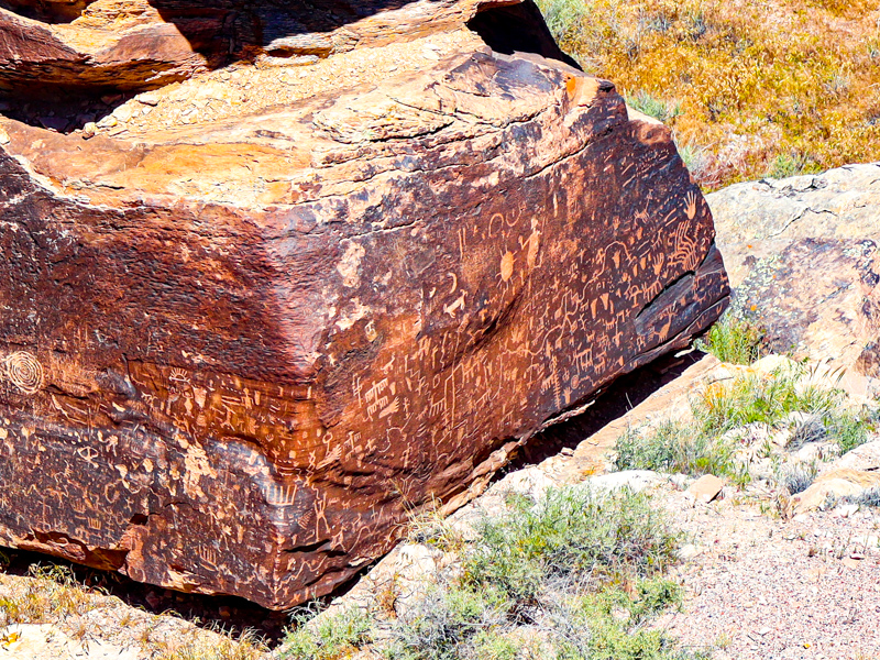 Newspaper Rock