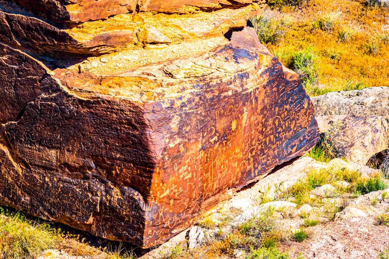 Newspaper Rock