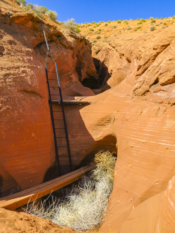 Rattlesnake Canyon