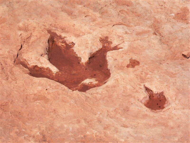 Moenkopi Dinosaur Tracks