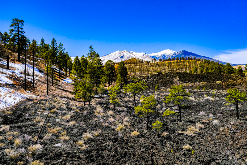 Lava's Edge Trail