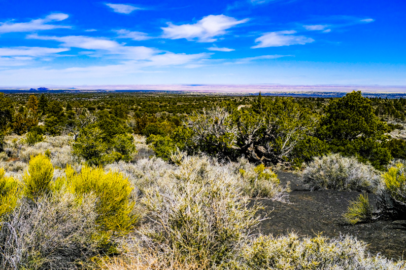Painted Desert Vista