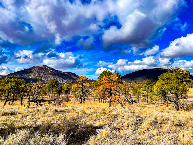 Cinder Hills Overlook