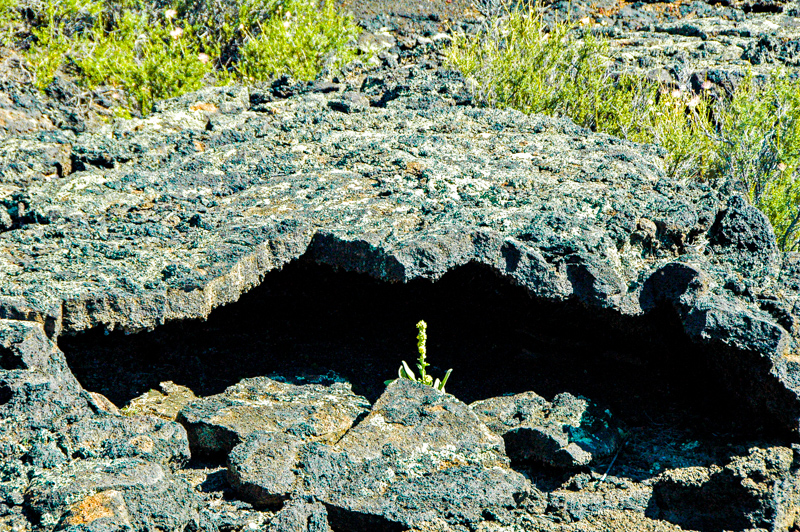 Lava Flow Trail