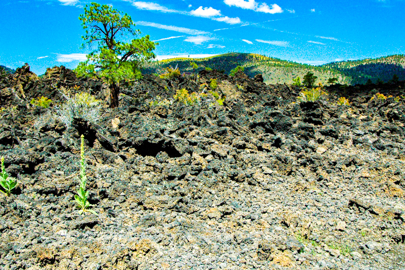 Lava Flow Trail