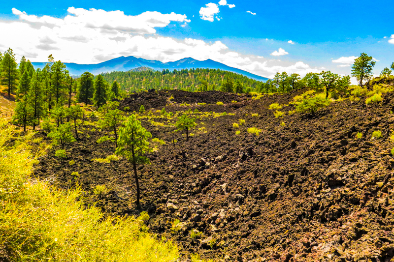 Lava Flow Trail