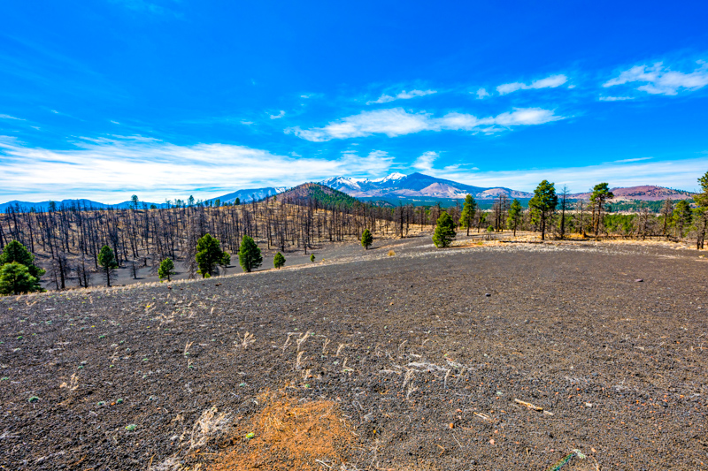 Lenox Crater Trail