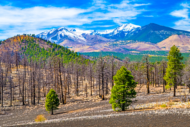 Lenox Crater Trail