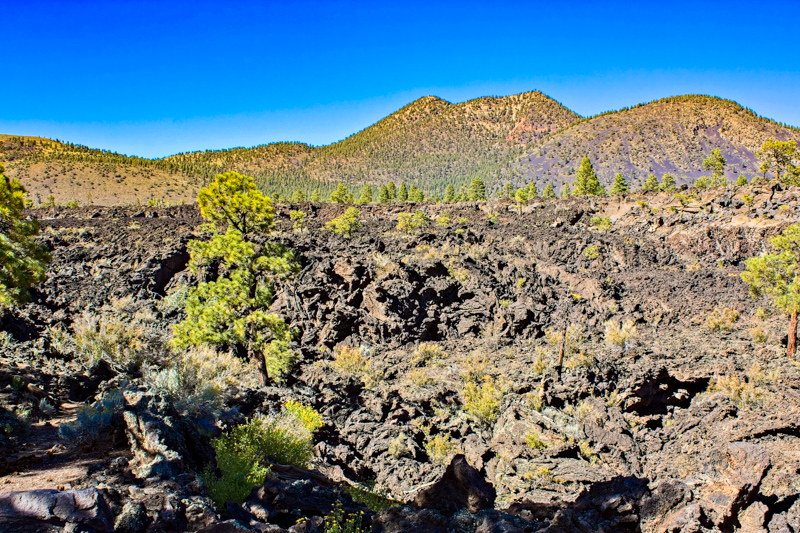 Lava's Edge Trail