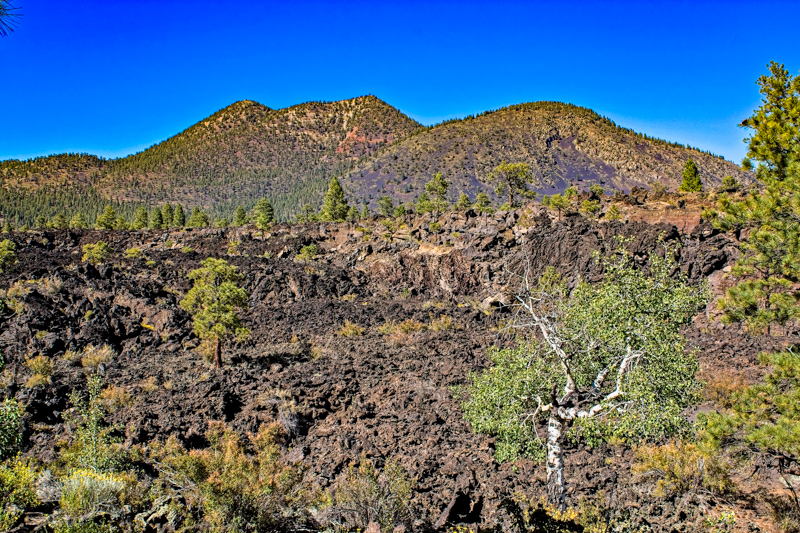 Lava's Edge Trail