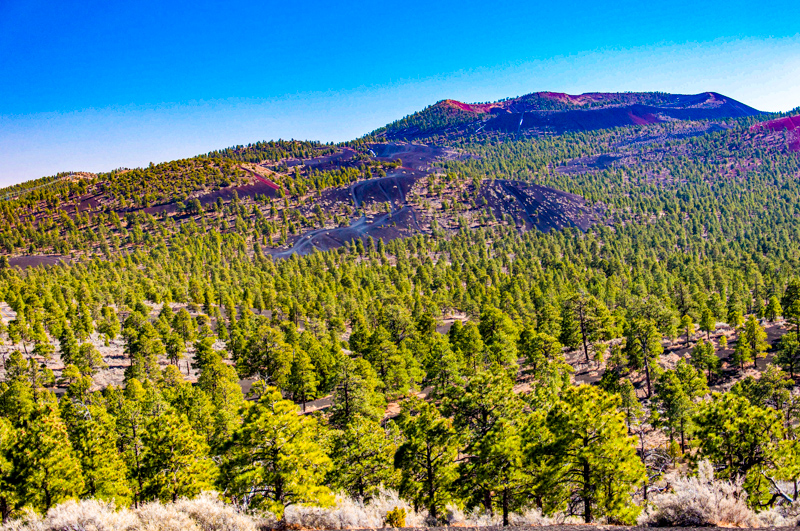 Cinder Hills Overlook