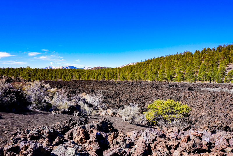 Lava Flow Trail