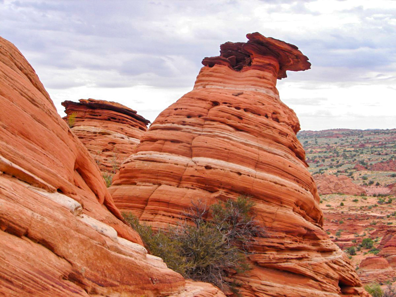 Coyote Buttes North Trail