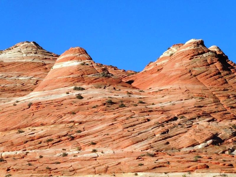Coyote Buttes North Trail