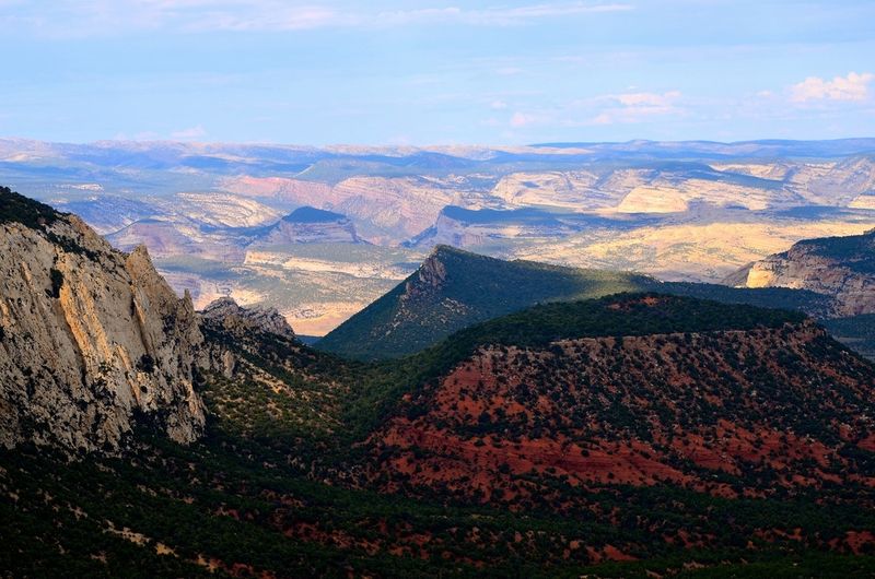 Viva Cake Hill Overlook