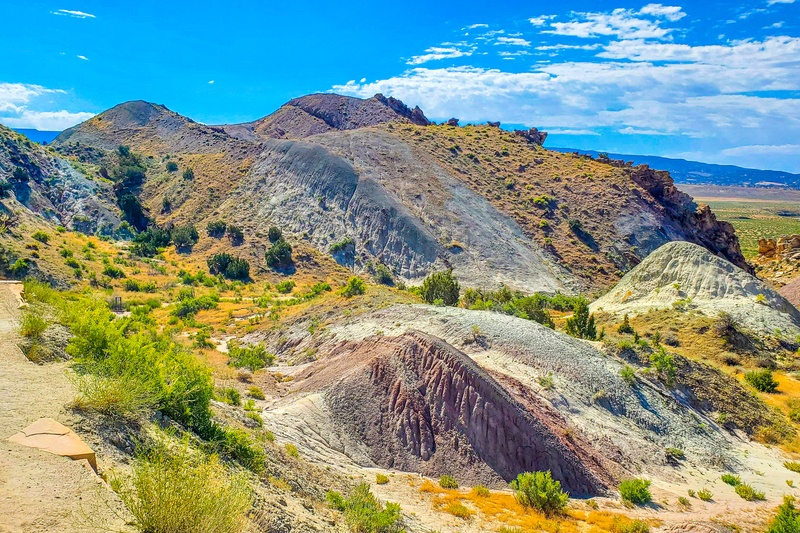 Fossil Discovery Trail