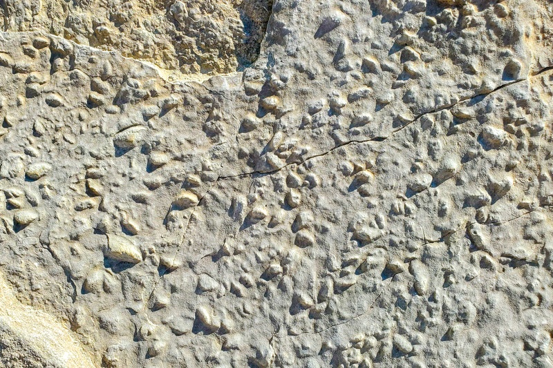 Fossil Discovery Trail