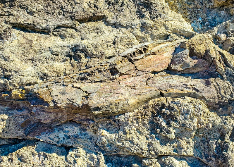 Fossil Discovery Trail