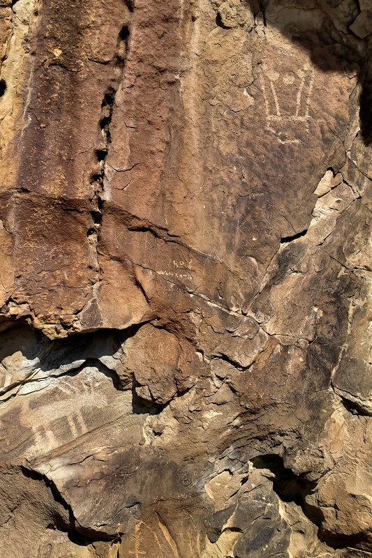 Fossil Discovery Trail