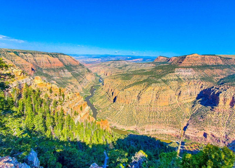 Harpers Corner Overlook