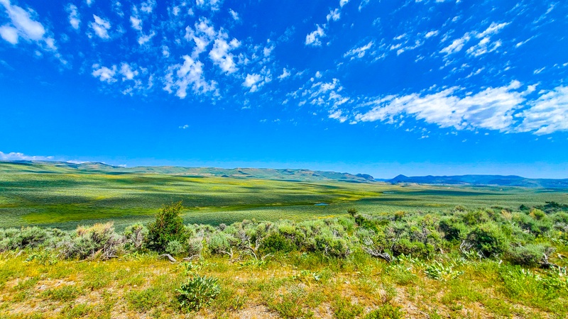 Harpers Corner Drive