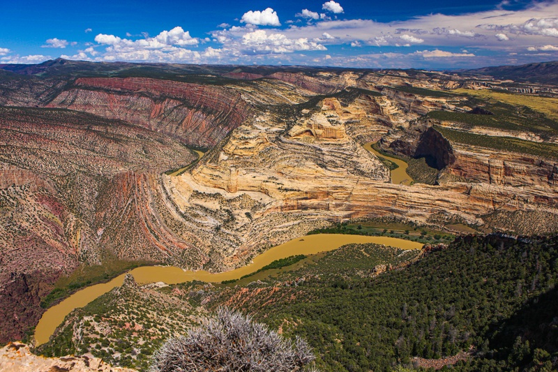 Harpers Corner Overlook