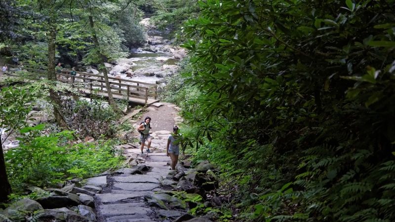 Chimney Tops Trail